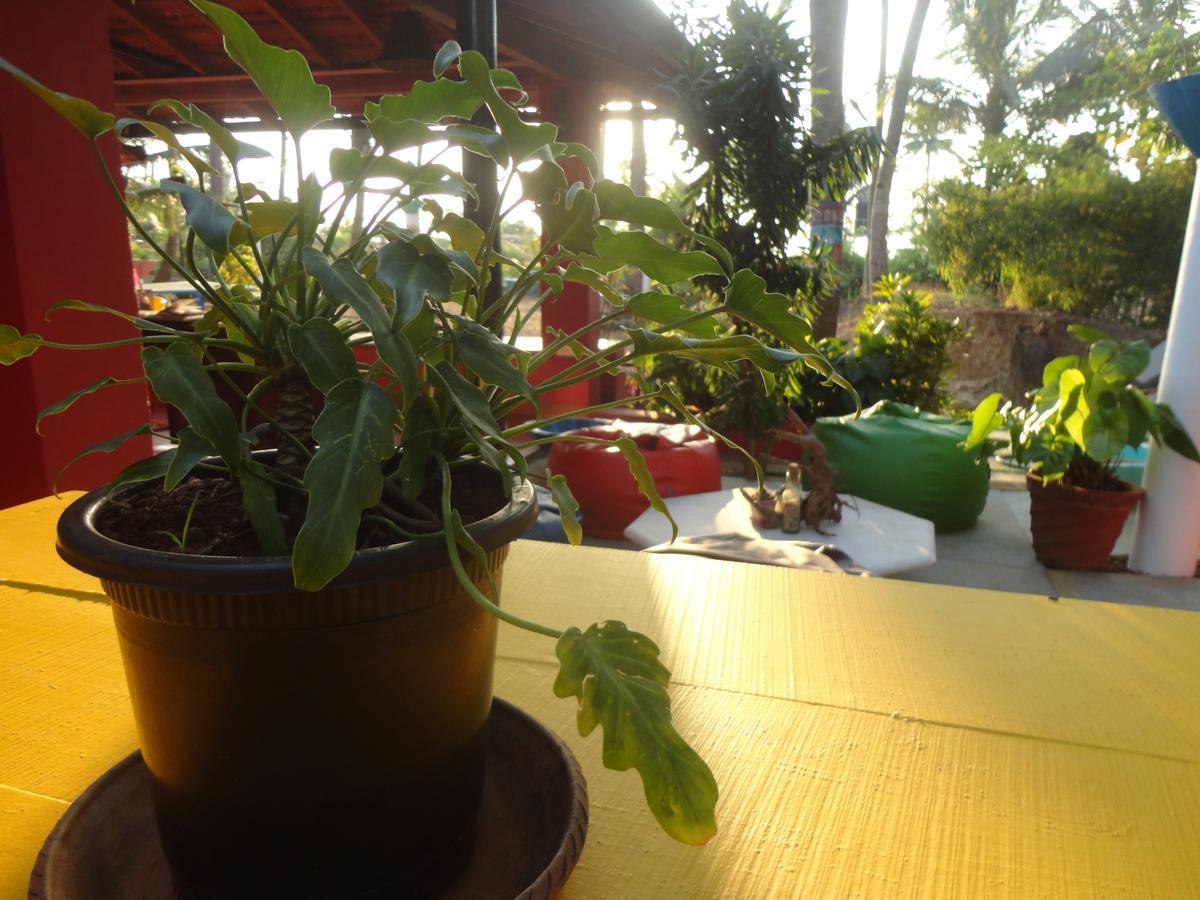 The Yuppi Hippi Female Hostel อันจูนา ภายนอก รูปภาพ