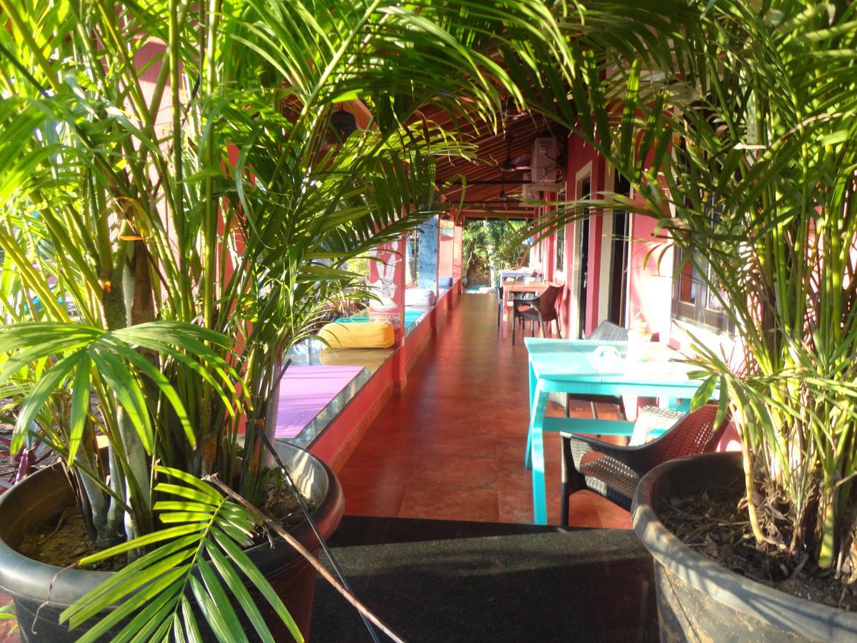The Yuppi Hippi Female Hostel อันจูนา ภายนอก รูปภาพ